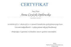 certyfikat_17